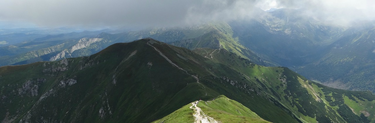 mountains the fog clouds free photo