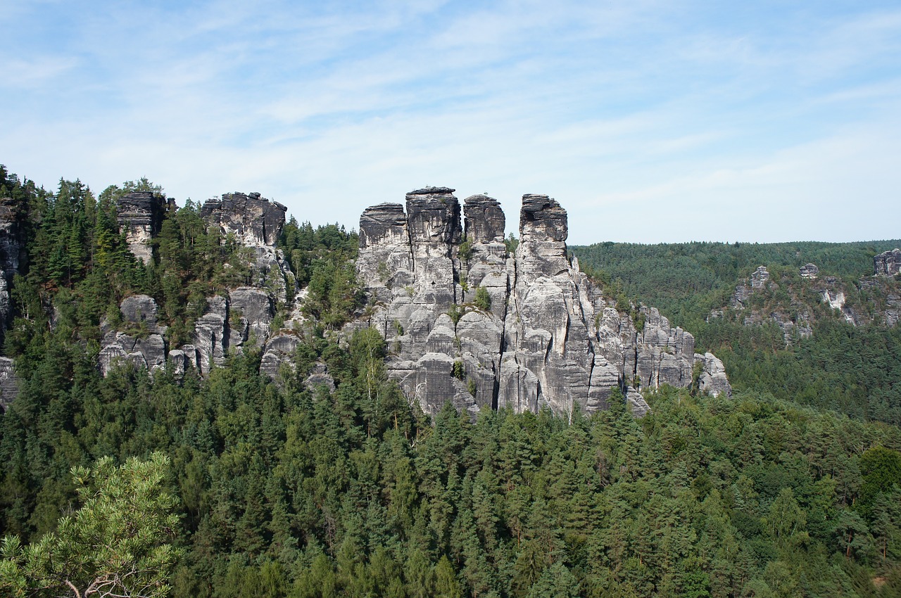 mountains trees elbe sandstone mountains free photo