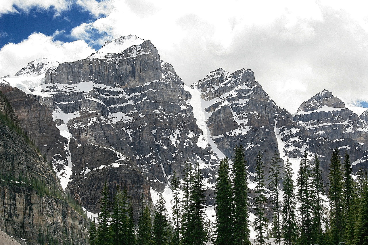 mountains range trees free photo