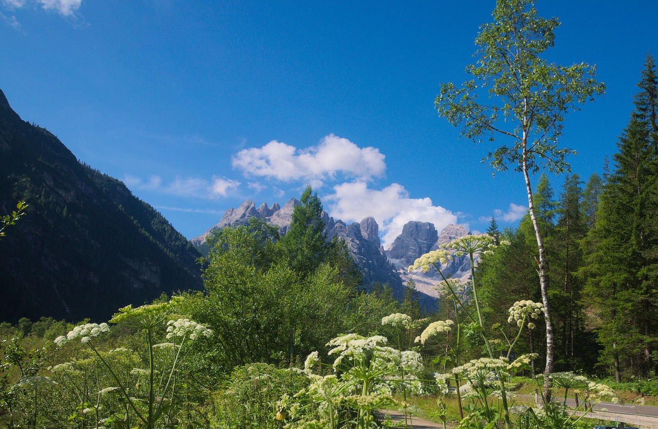 mountains nature summer free photo