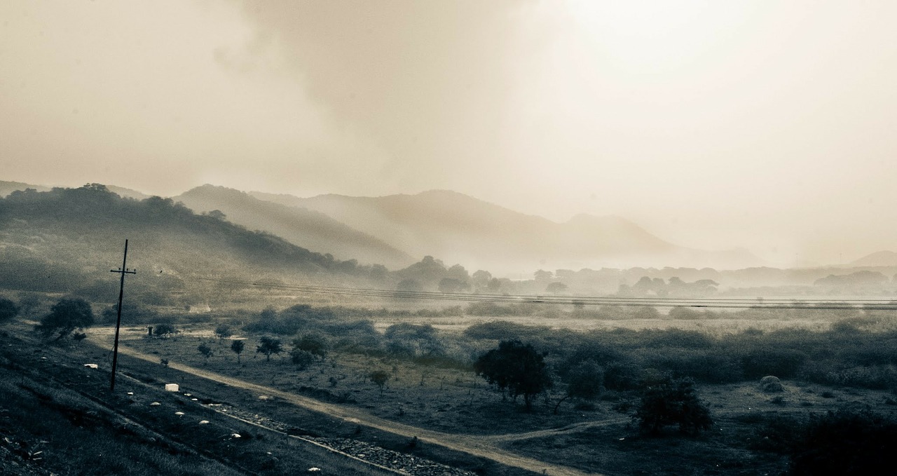 mountains vegetation fog free photo