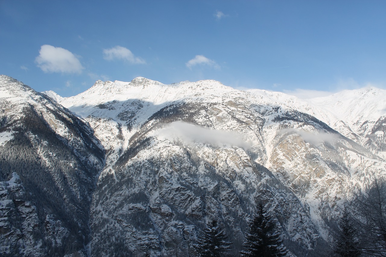 mountains firs alpine free photo
