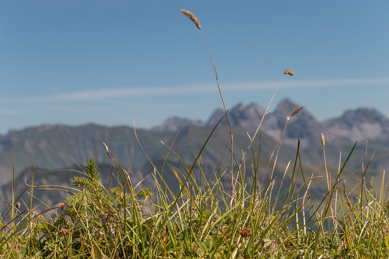 mountains recovery sky free photo