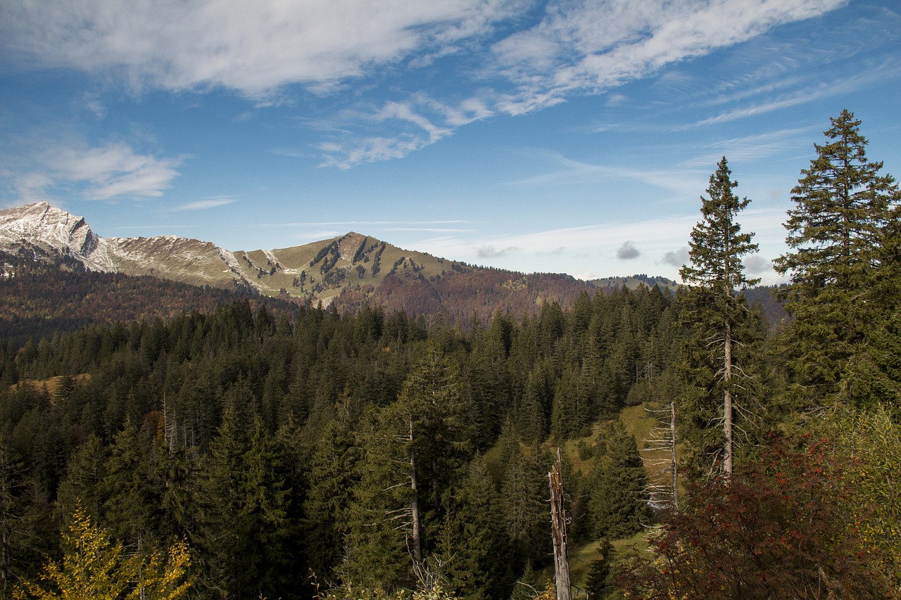 mountains forest hiking free photo