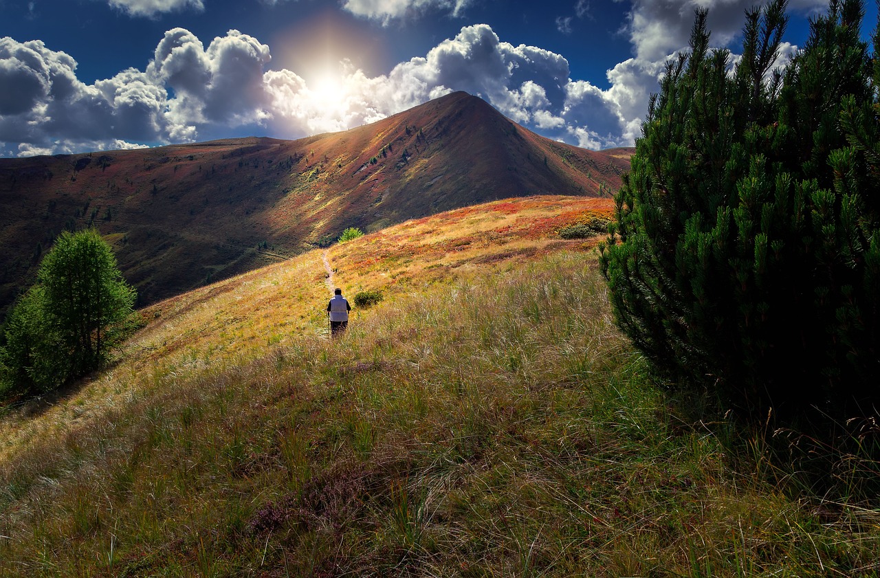 mountains landscape way free photo