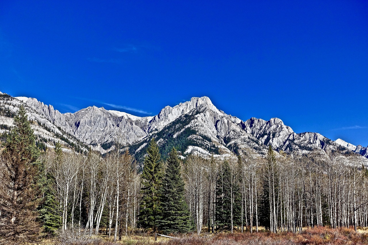 mountains rockies scenic free photo