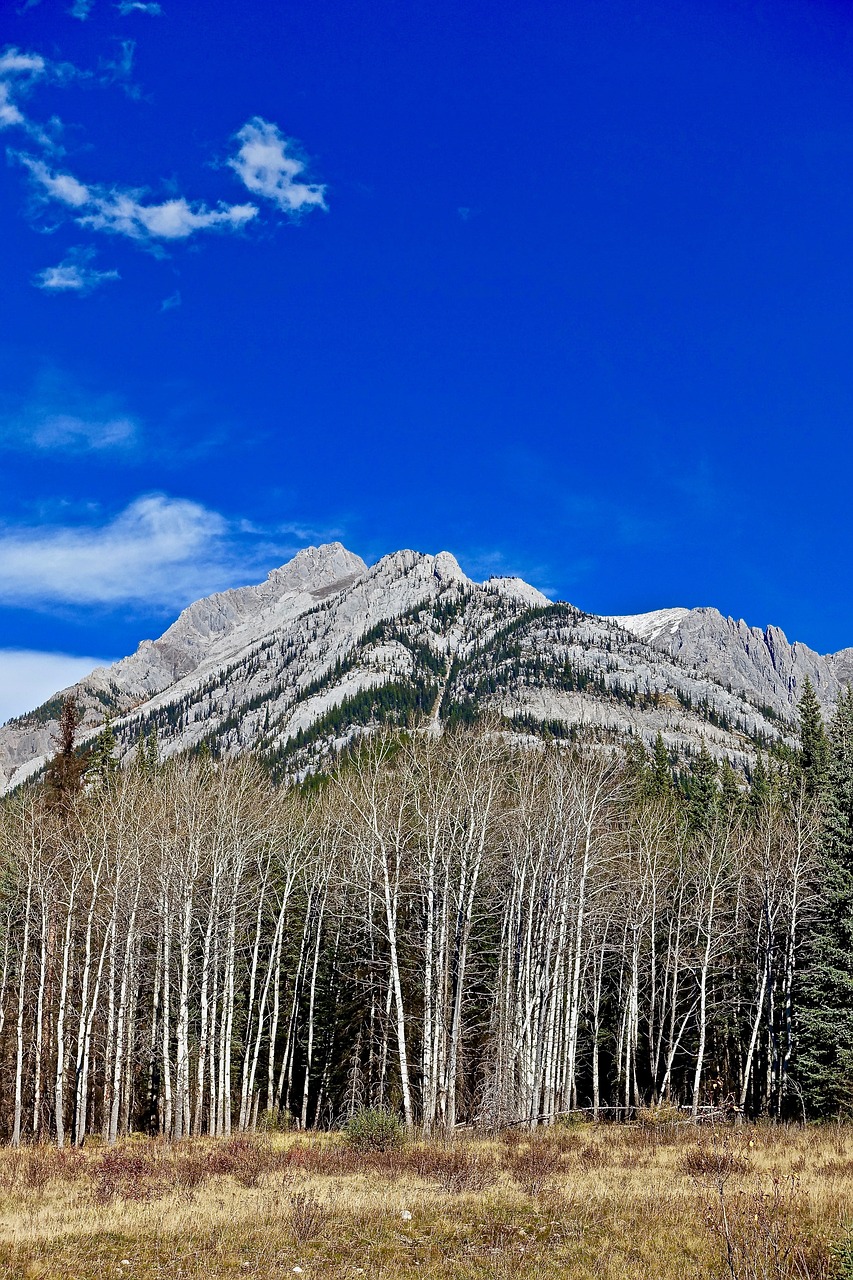 mountains rockies scenic free photo