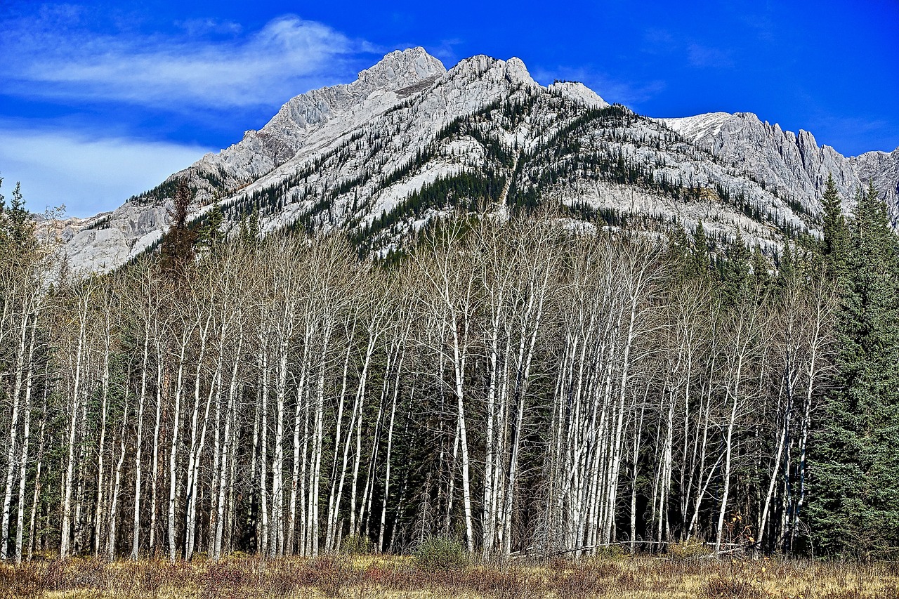 mountains rockies scenic free photo