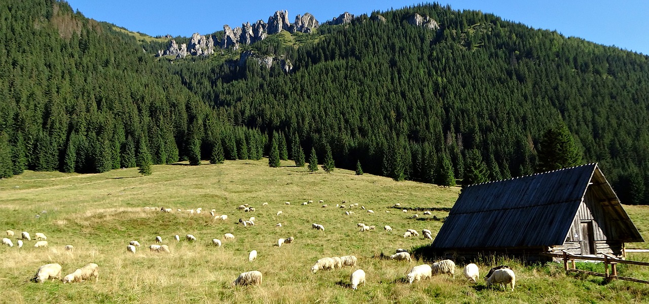 mountains tatry landscape free photo