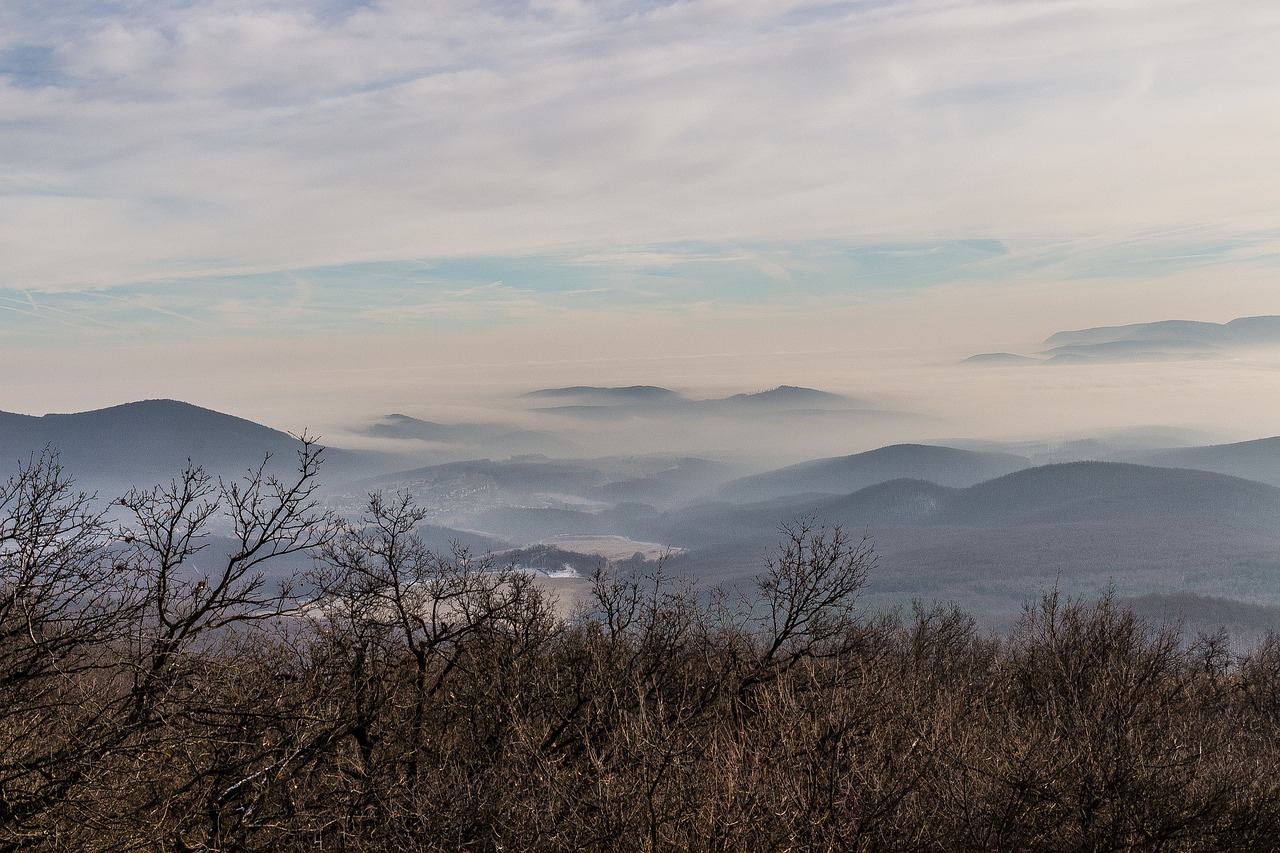 mountains valley forest free photo