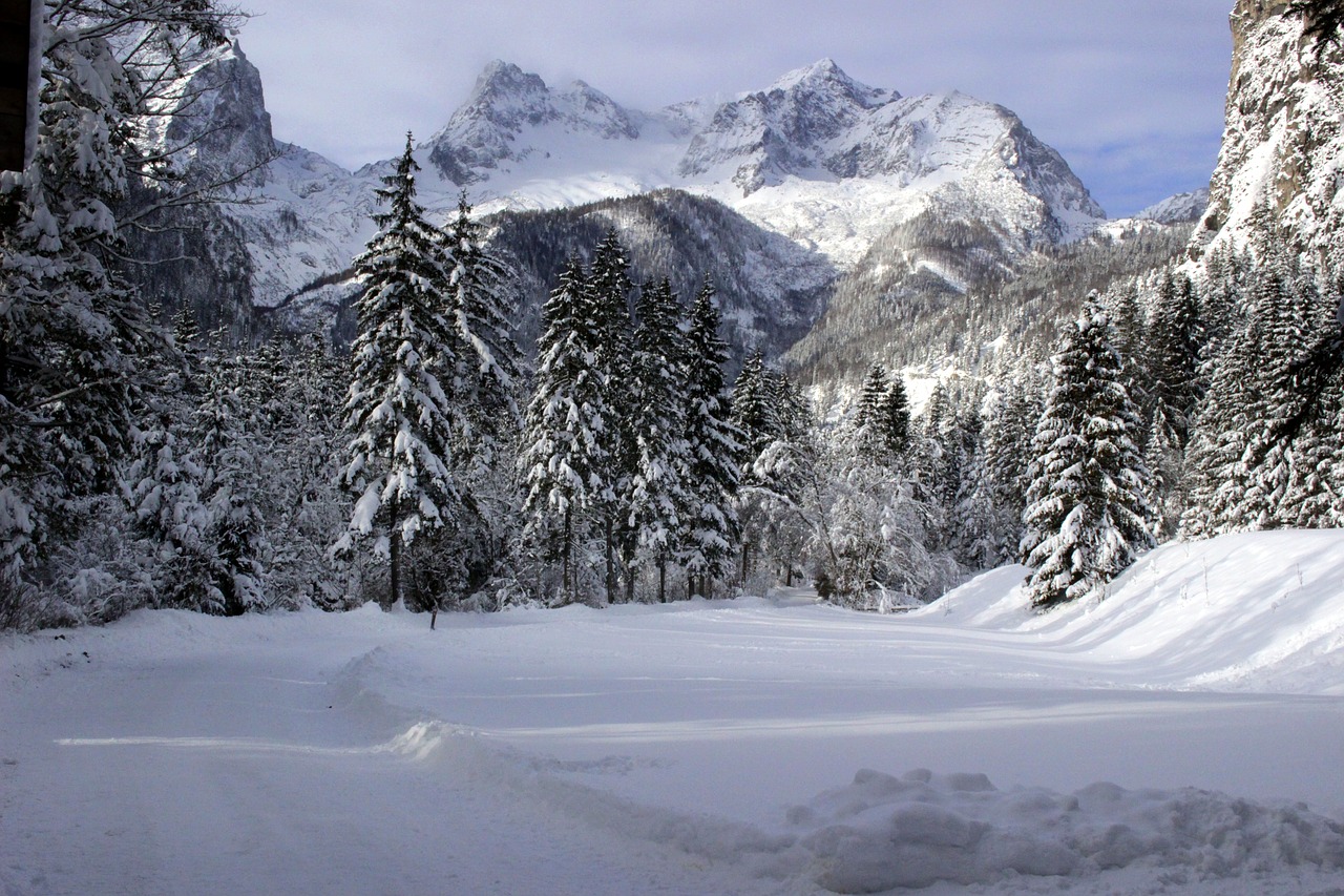 mountains austria snow free photo