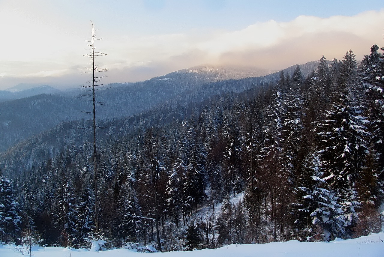 mountains prehyba landscape free photo