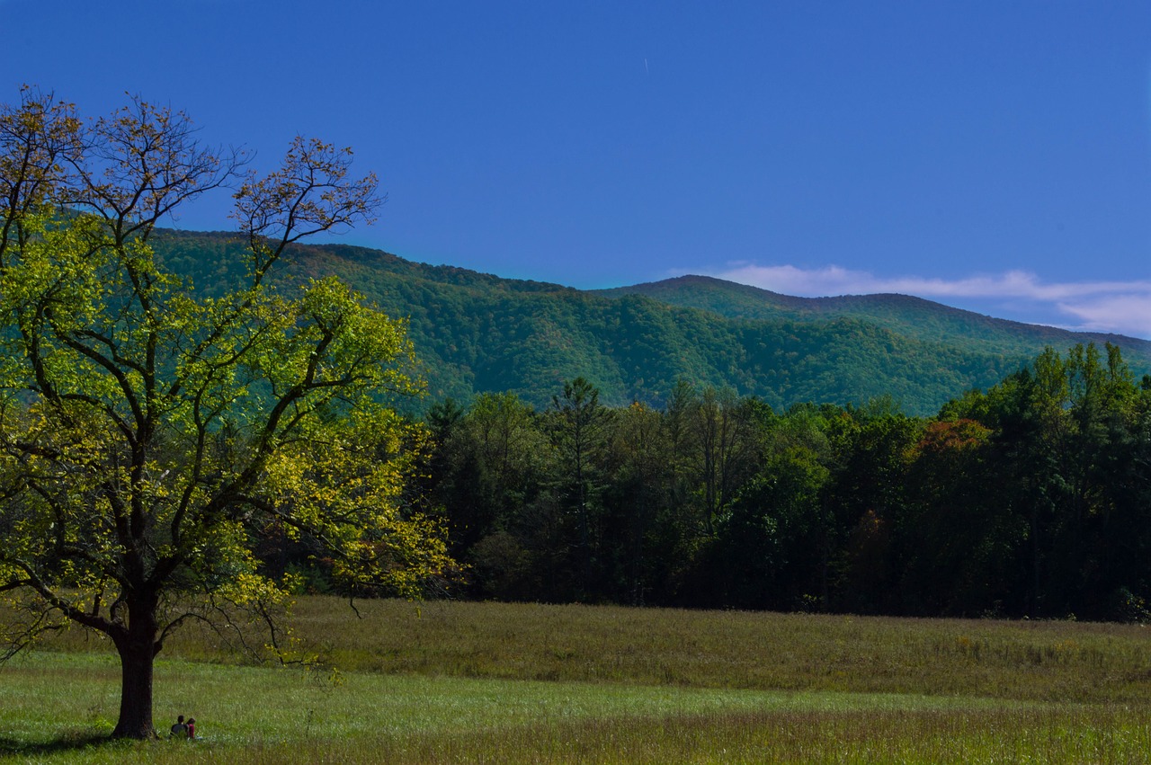 mountains landscape nature free photo