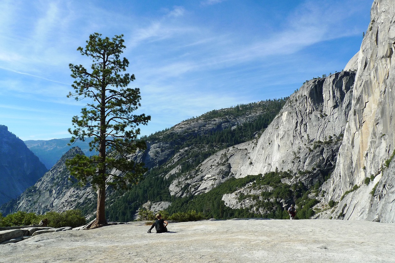 mountains tree landscape free photo