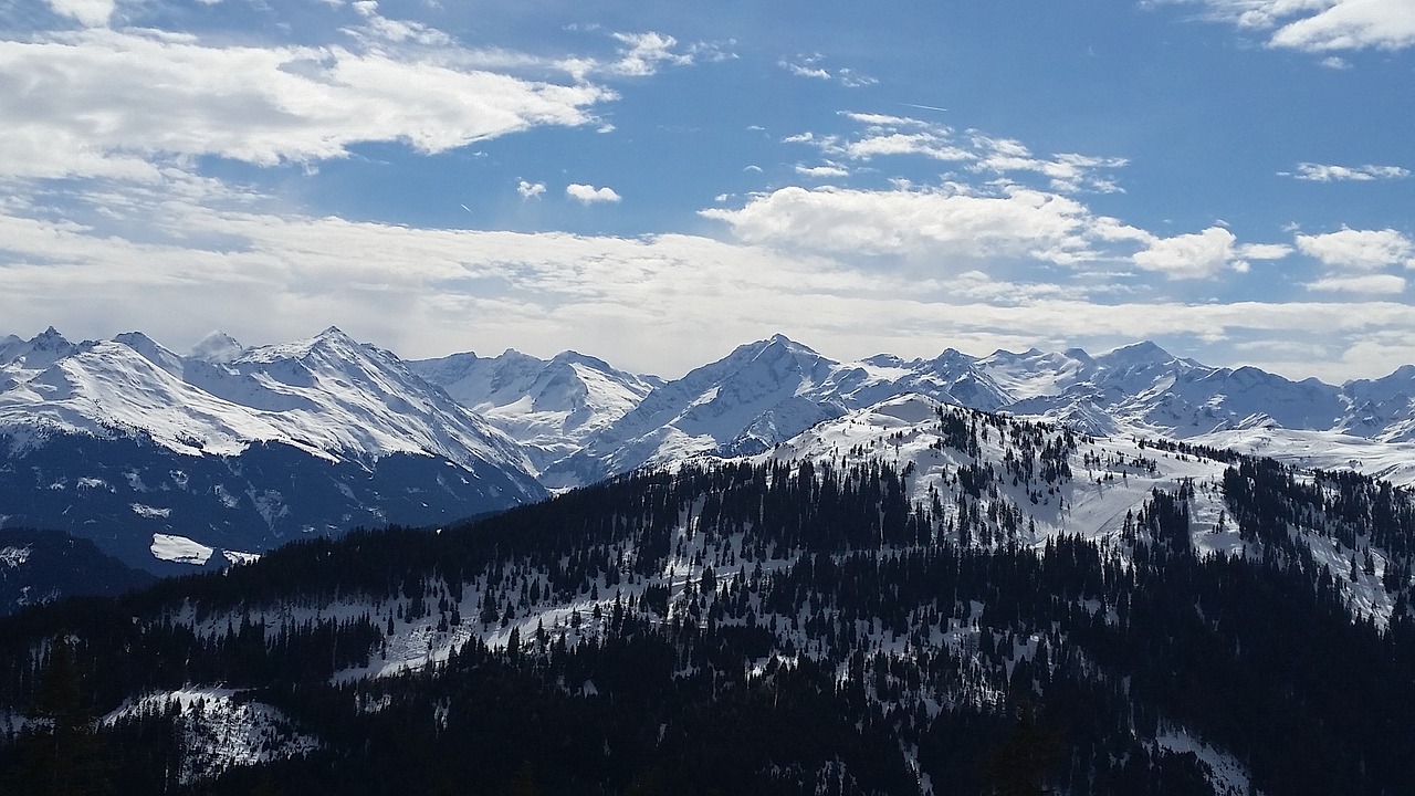 mountains tyrol forest free photo