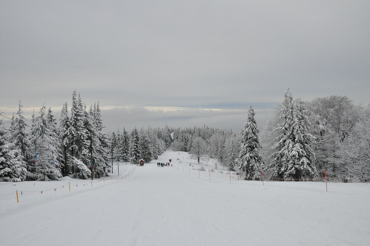 mountains winter snow free photo