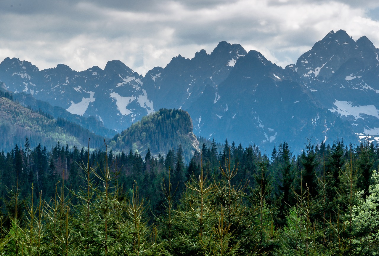 mountains tatry tops free photo