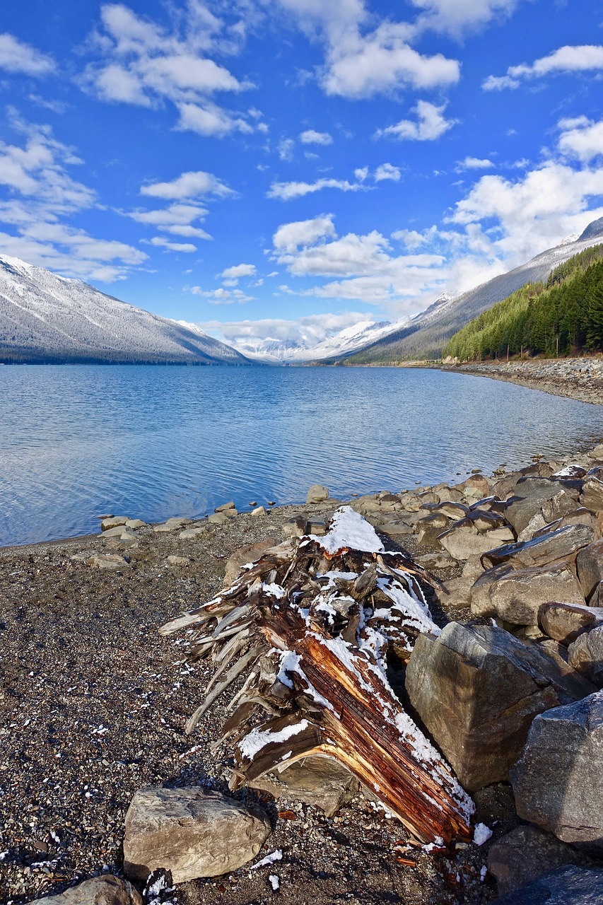 mountains lake wood free photo