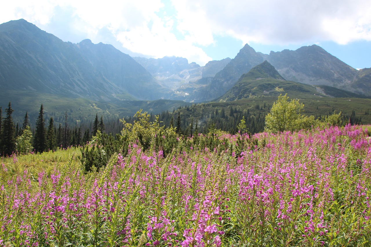 mountains tatry landscape free photo