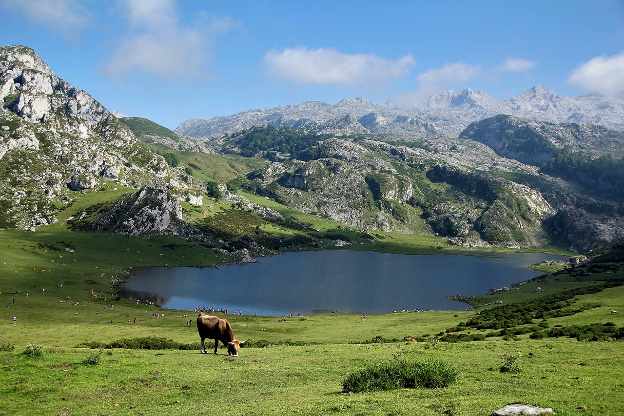 mountains lake blue free photo