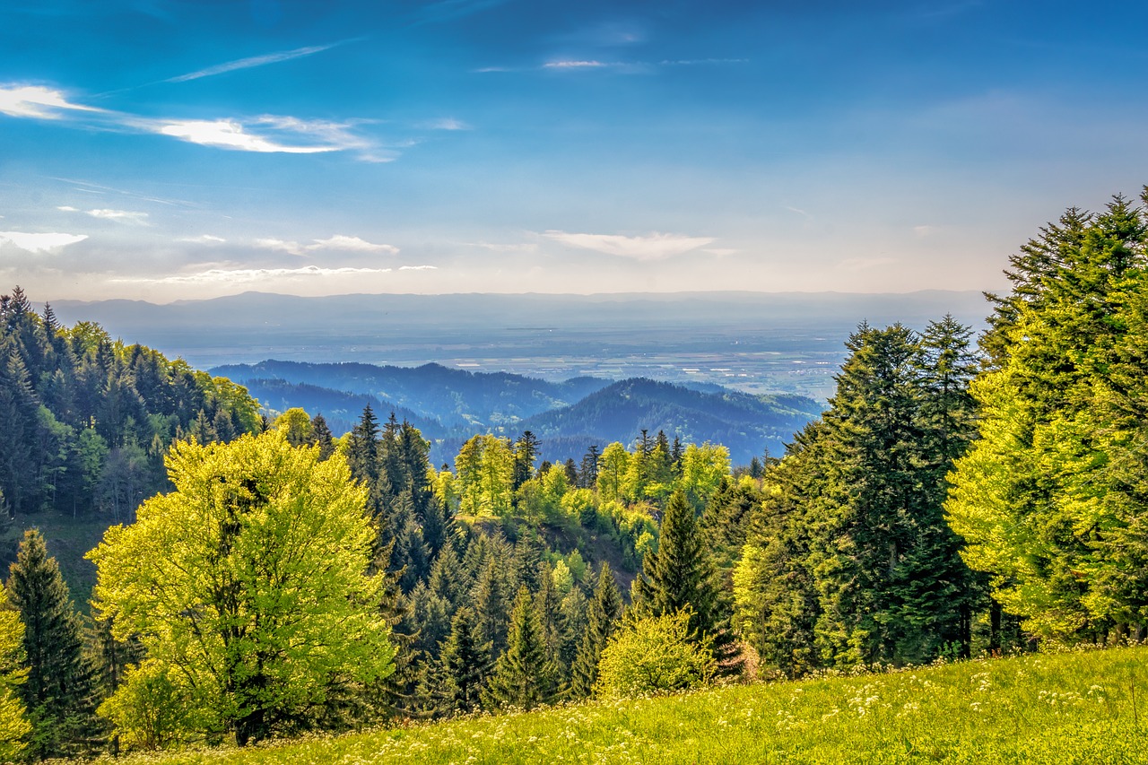mountains outlook black forest free photo