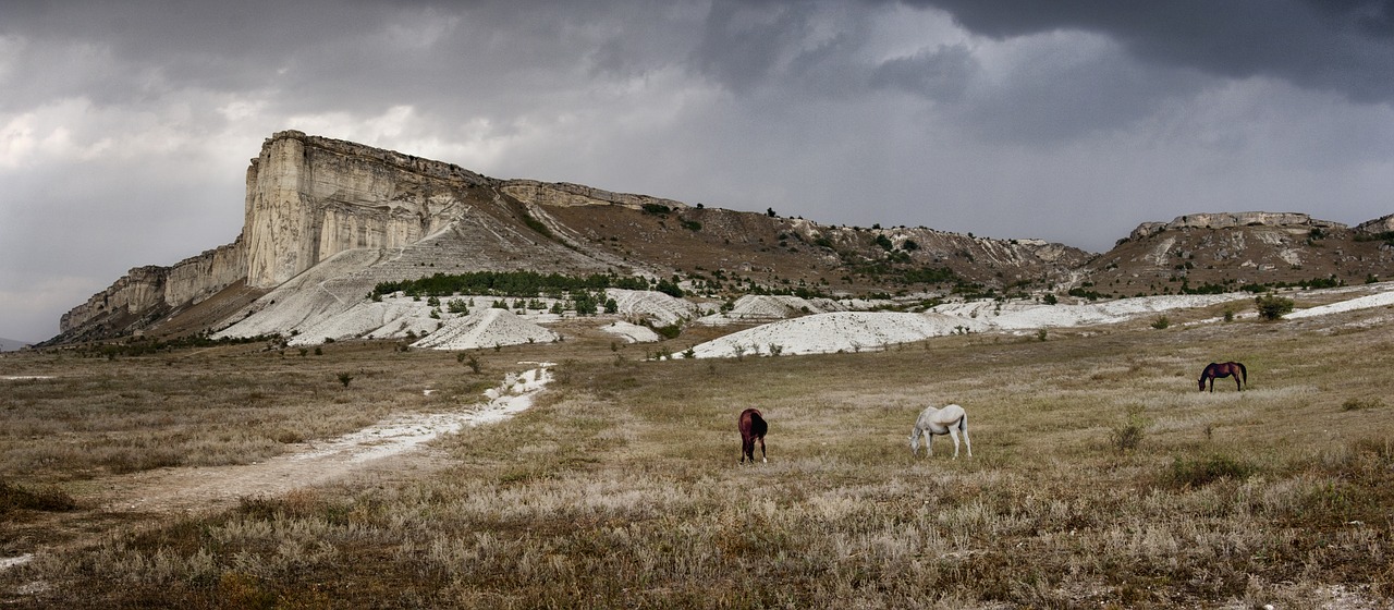 mountains horse crimea free photo