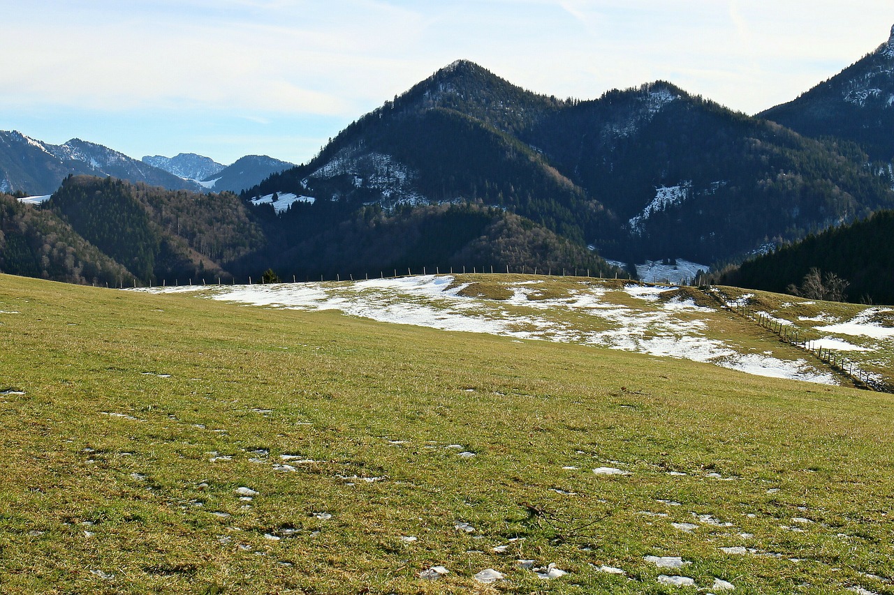 mountains alpine meadow alpine pasture free photo