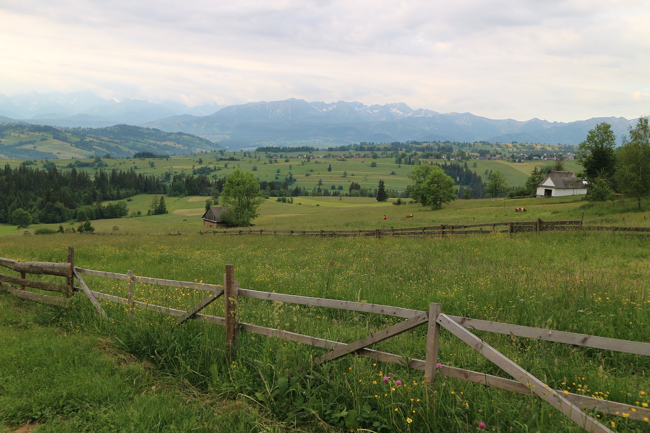 mountains meadow poland free photo