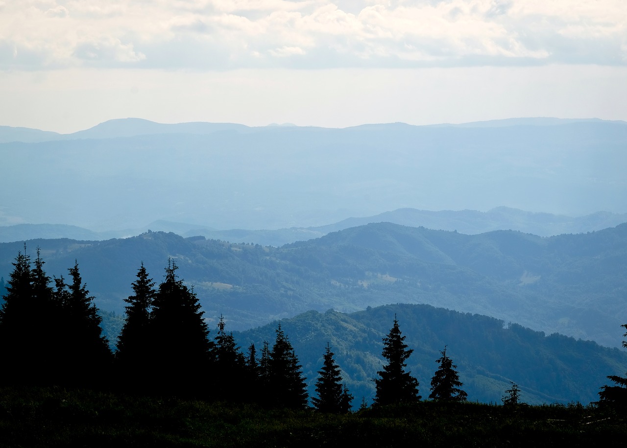 mountains the carpathians summer free photo