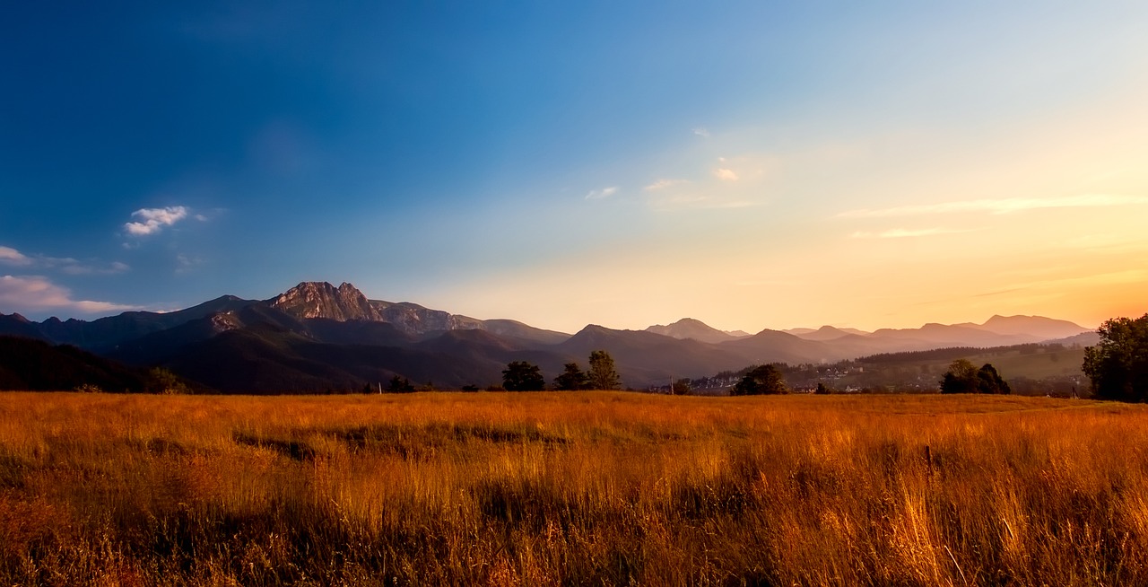 mountains valley meadow free photo