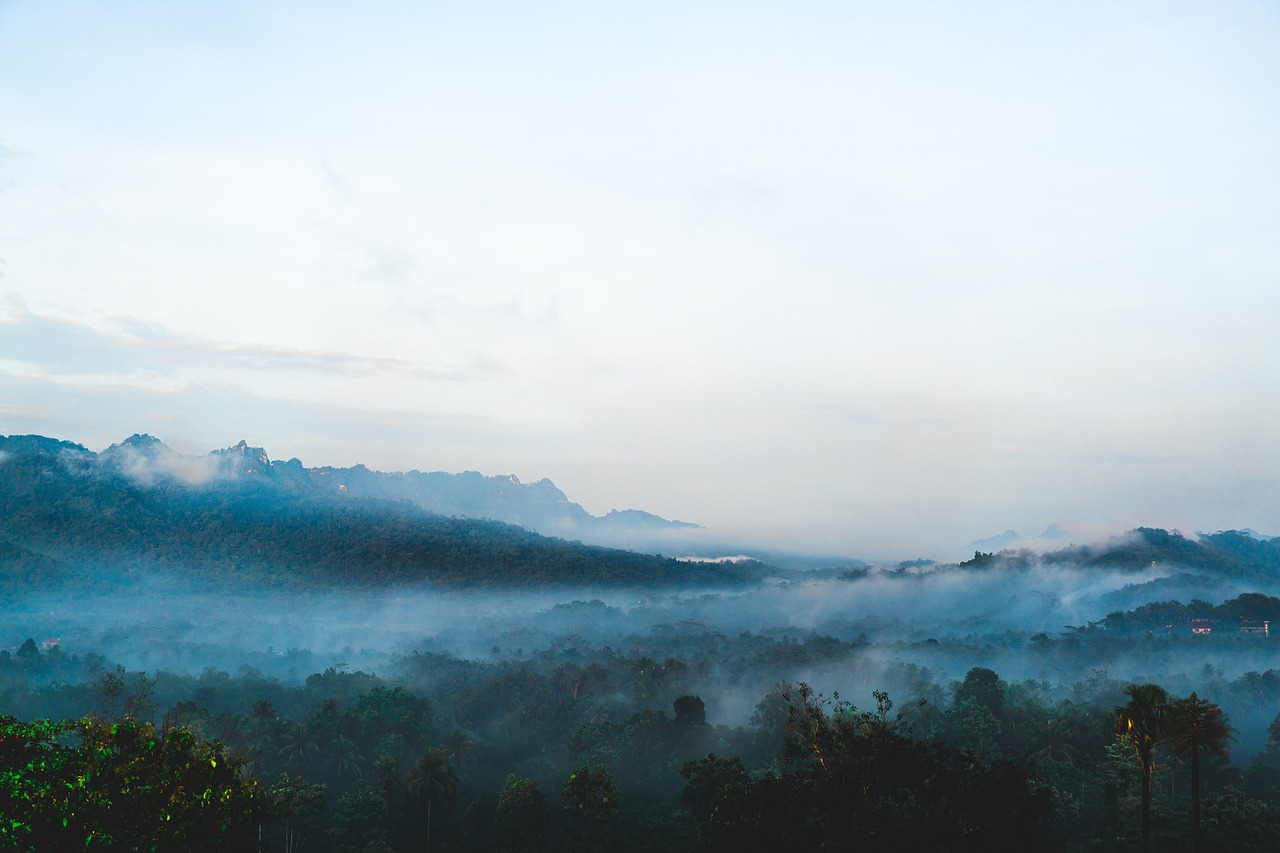 mountains landscape trees free photo