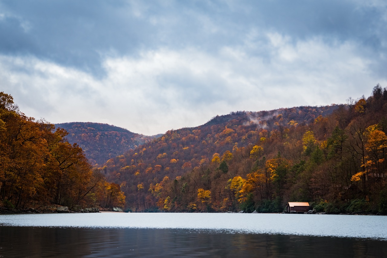 mountains trees forest free photo