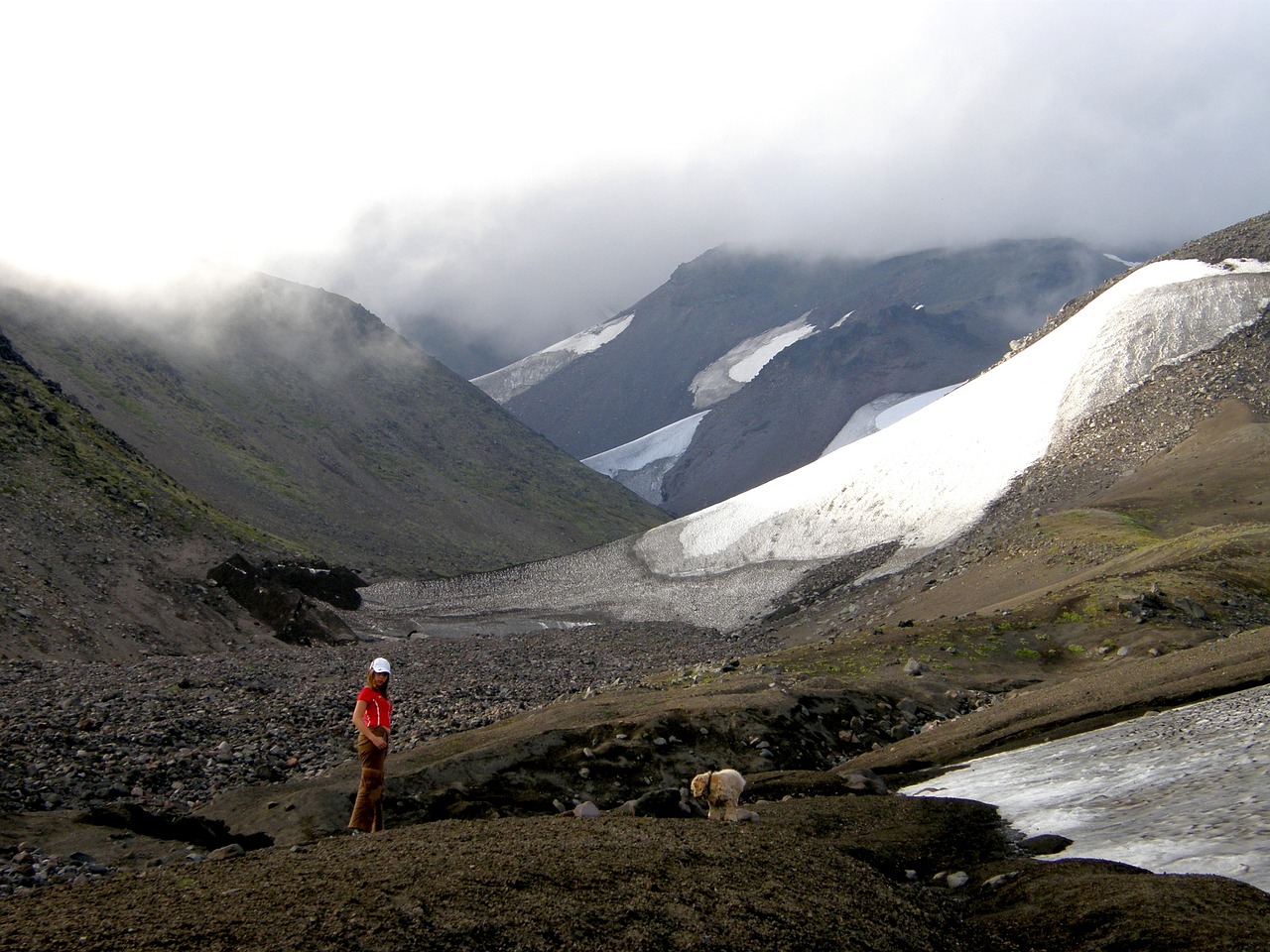 mountains snow summer free photo