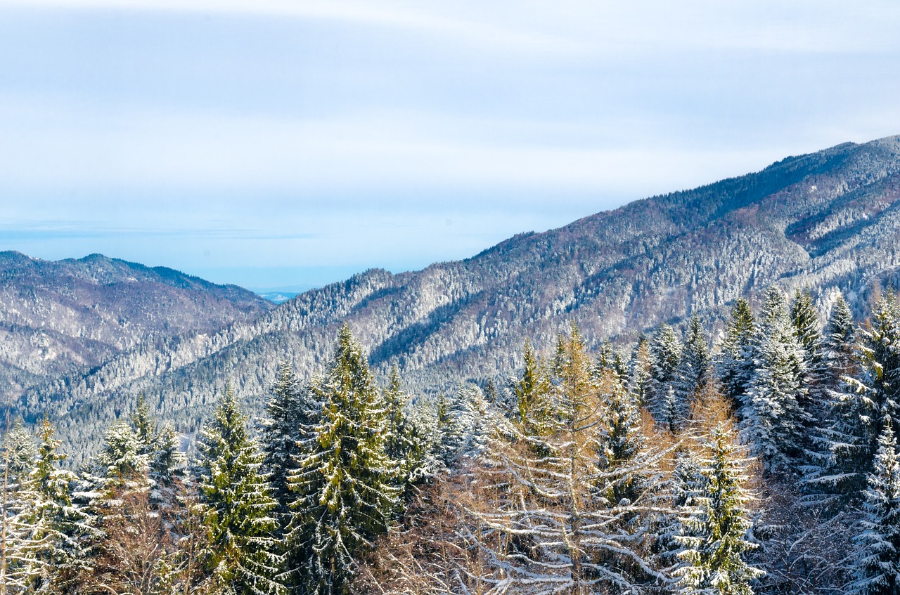 mountains winter cold free photo