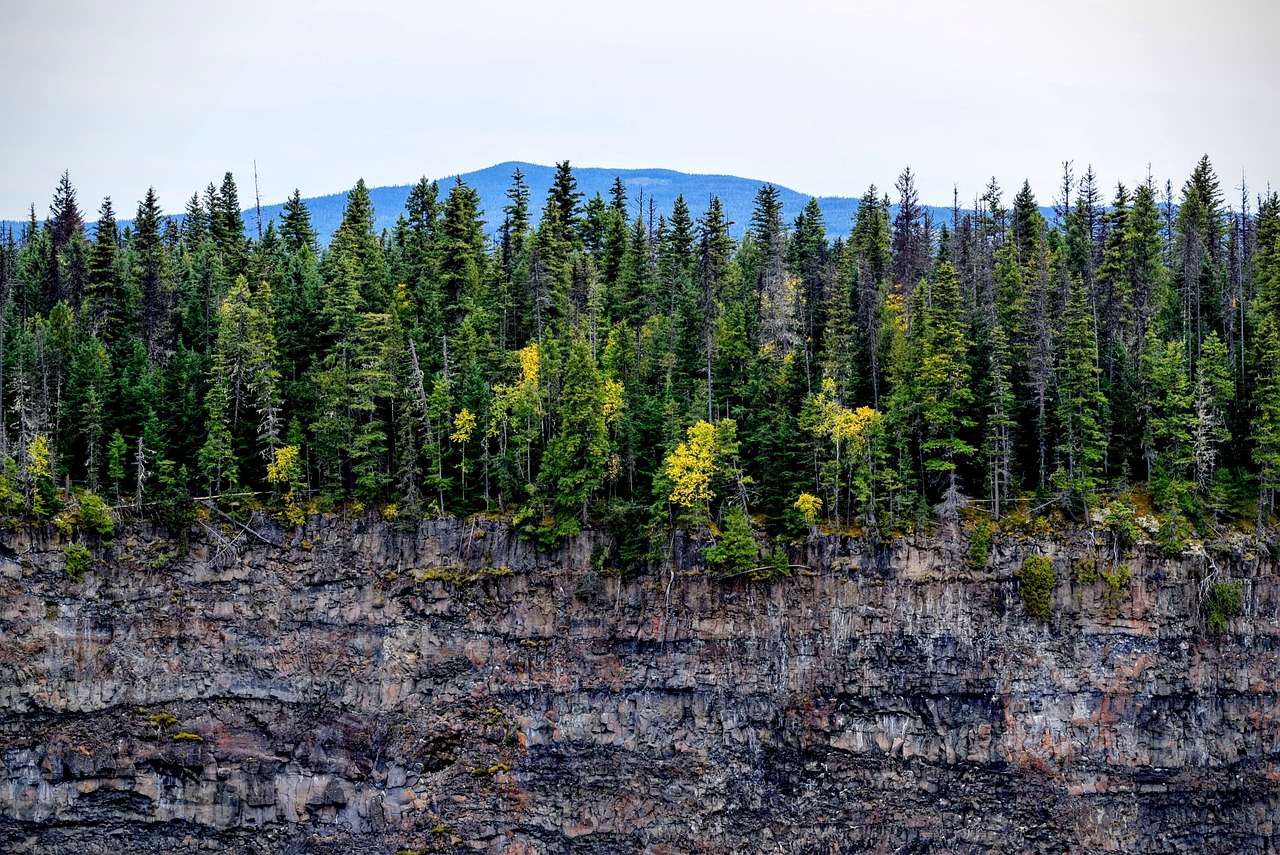 mountains cliff trees free photo