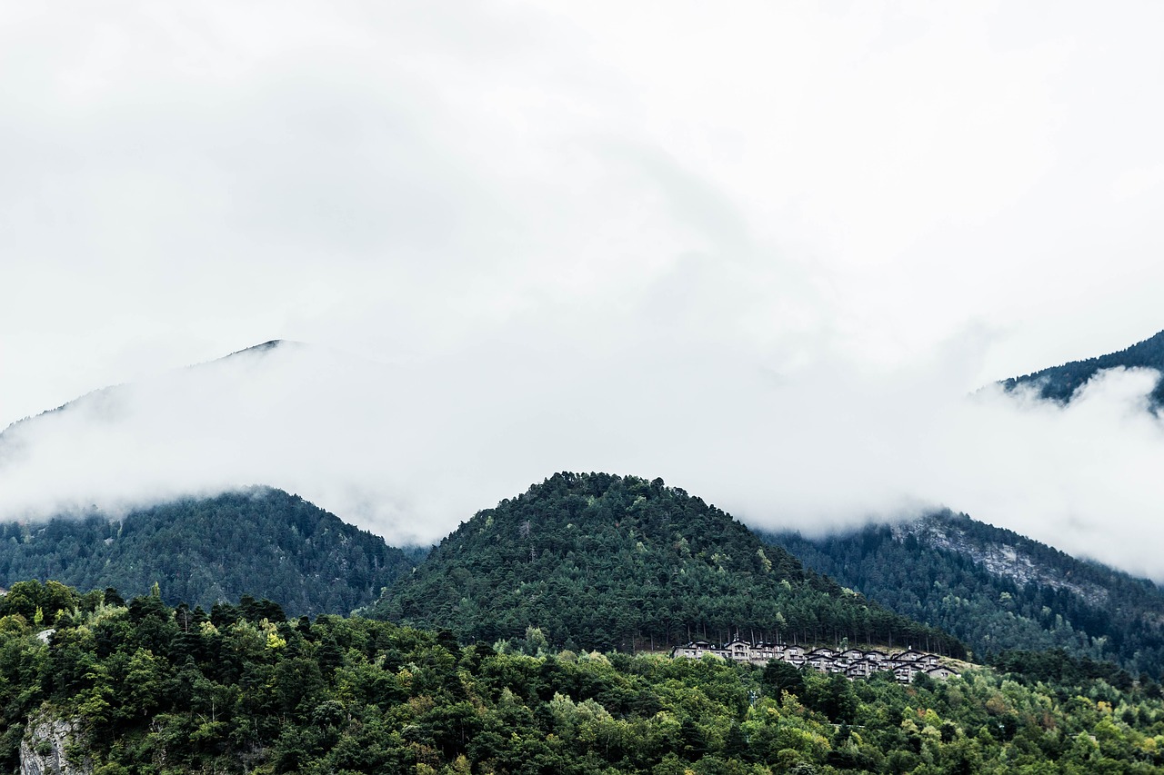 mountains landscape trees free photo