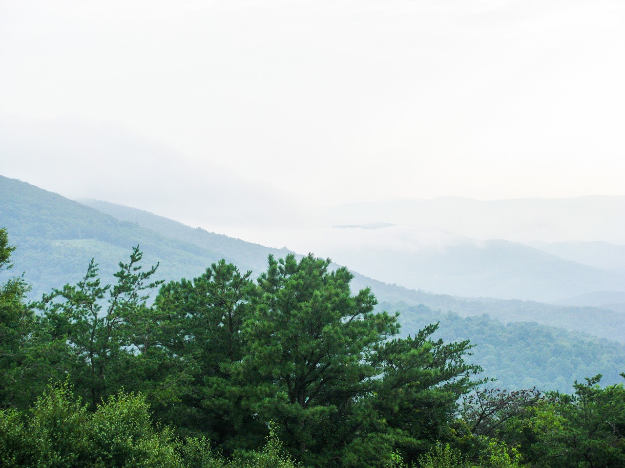 mountains hills trees free photo