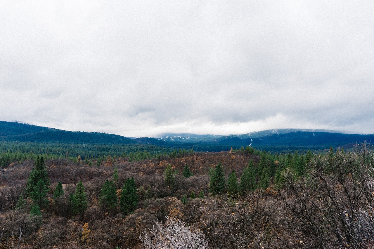 mountains hills fields free photo