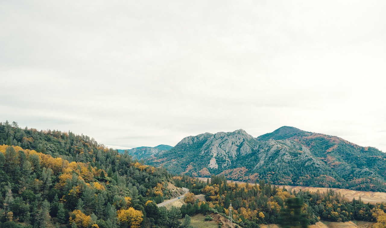 mountains hills forest free photo