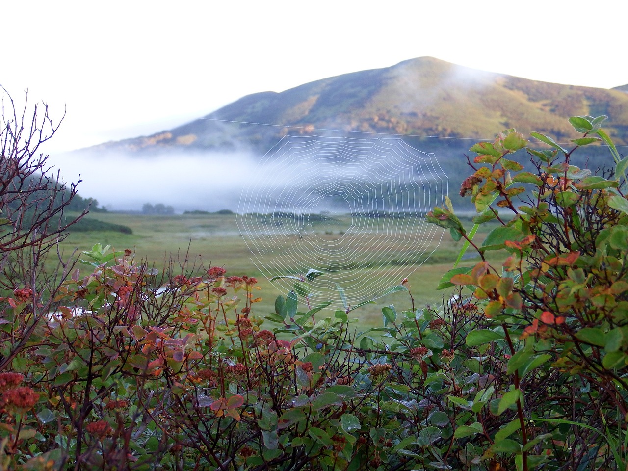 mountains lake morning free photo