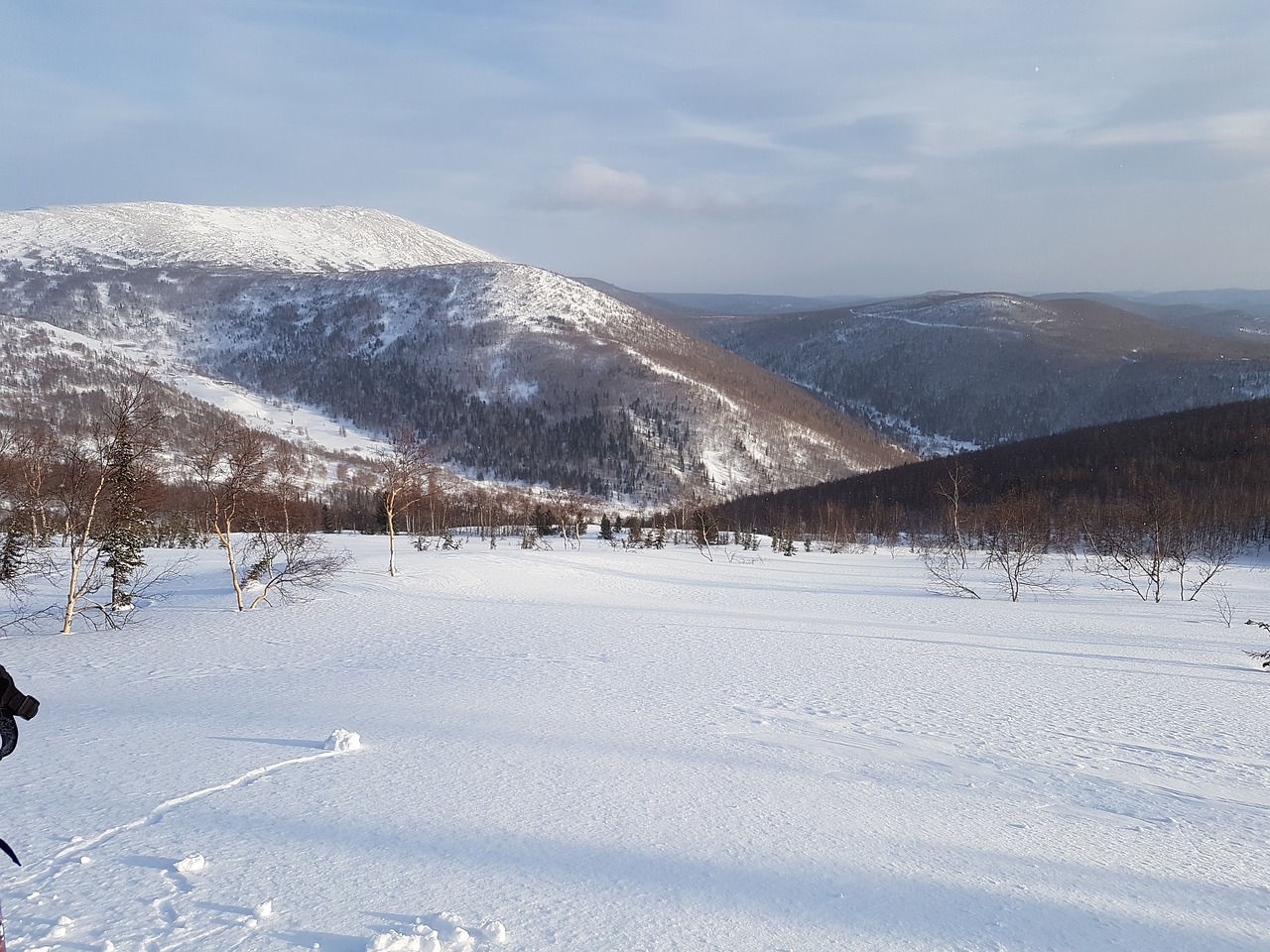 mountains winter snow free photo