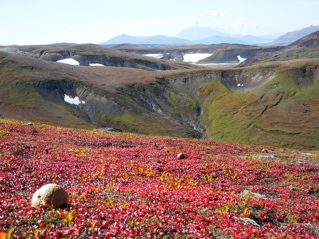 mountains volcano mushrooms free photo