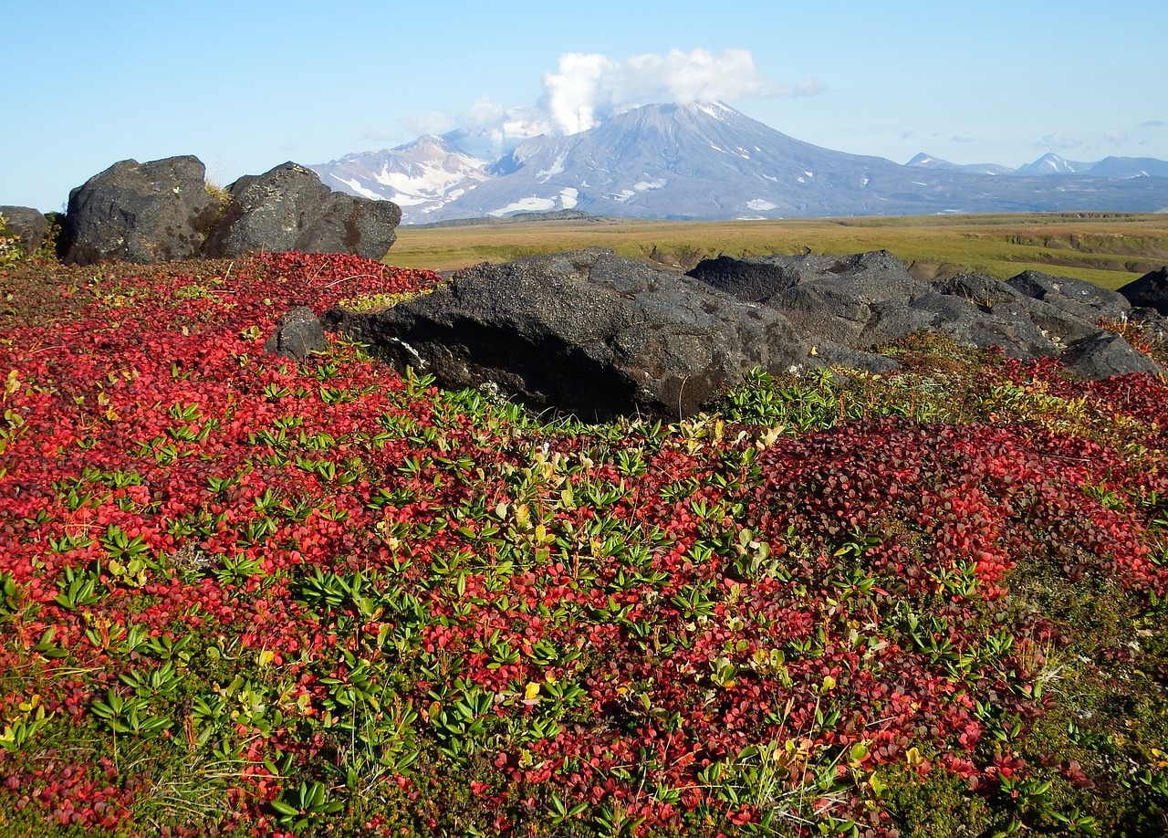 mountains volcano tundra free photo