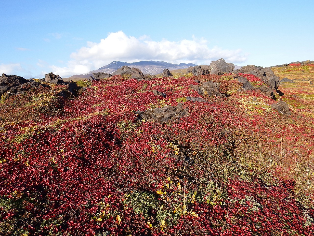 mountains volcano tundra free photo