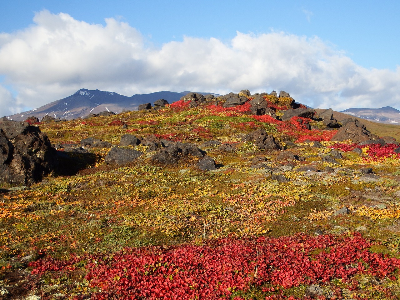 mountains volcano tundra free photo