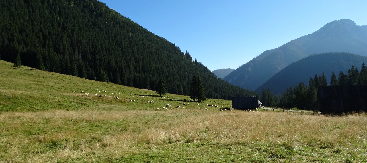 mountains tatry landscape free photo