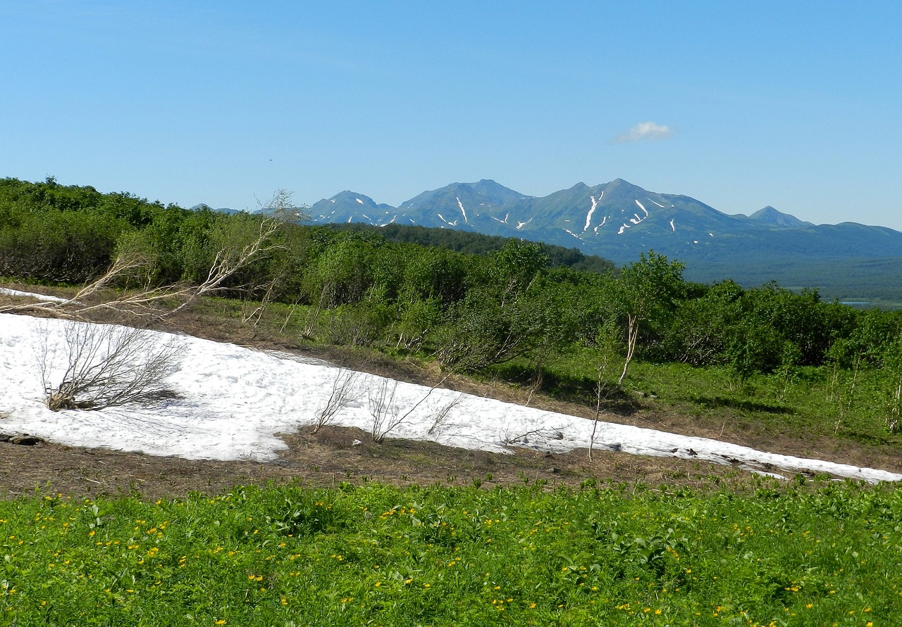 mountains summer snow free photo