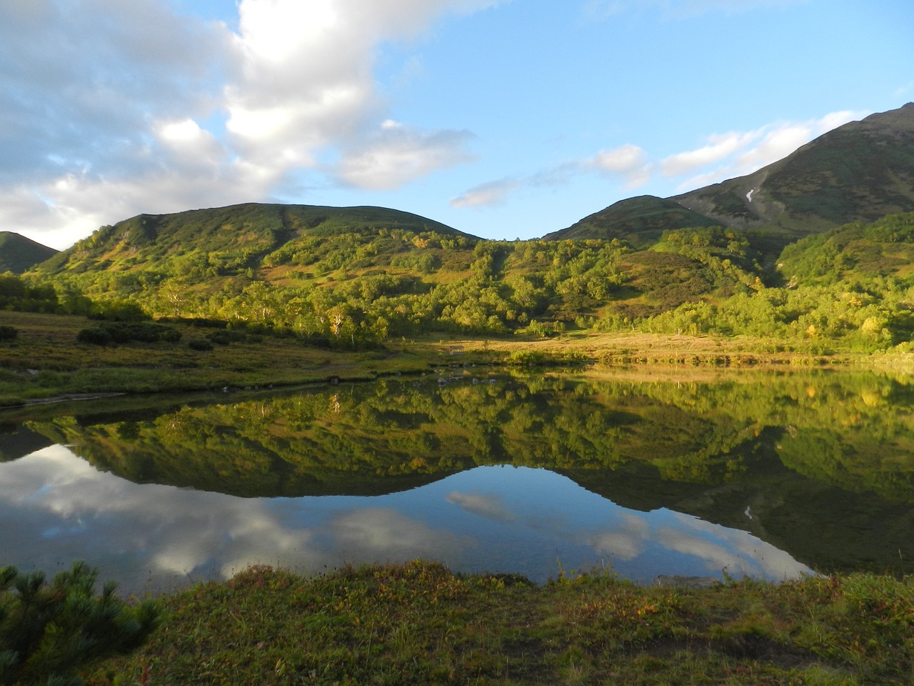 mountains lake forest free photo