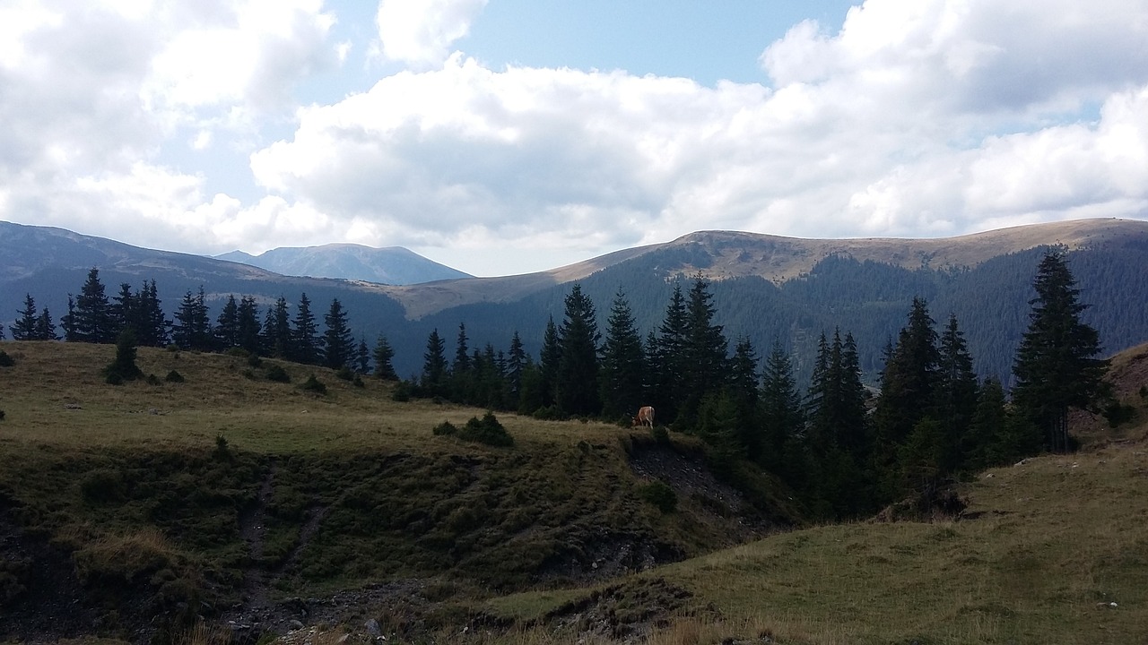 mountains clouds trees free photo