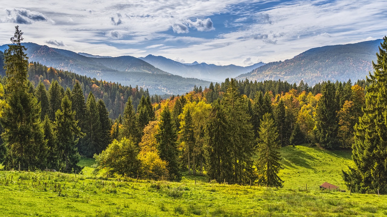 mountains view forest free photo